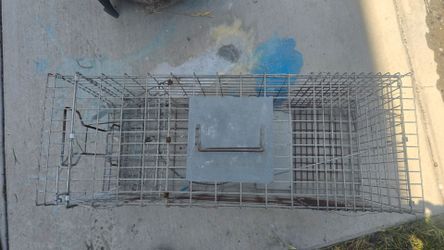 Animal cage trap
