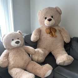 Big And Little Brown Teddy Bear 