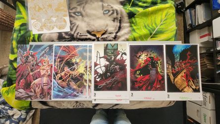 Sdcc Prints And Posters Spawn, WB, Street Fighter,  Captain America,  Tmnt