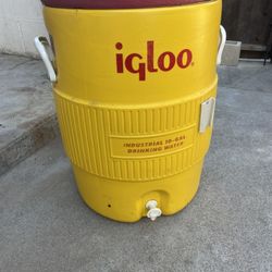 Igloo Water Cooler