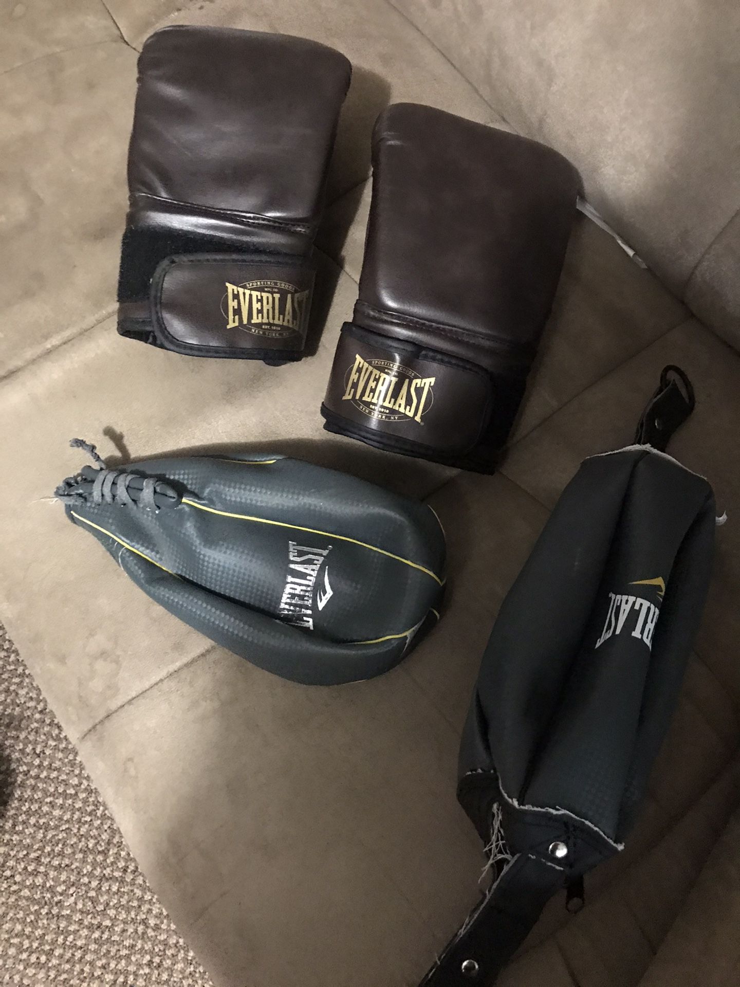 Everlast punching bag