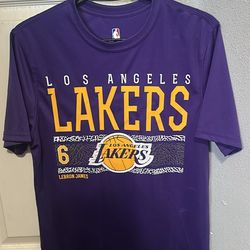 Los Angeles Lakers Shirt Mens Small Purple #6 Lebron James Short Sleeve