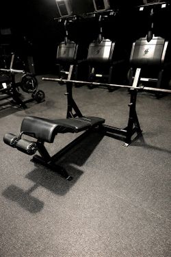 Hammer Strength Olympic Decline Bench Press