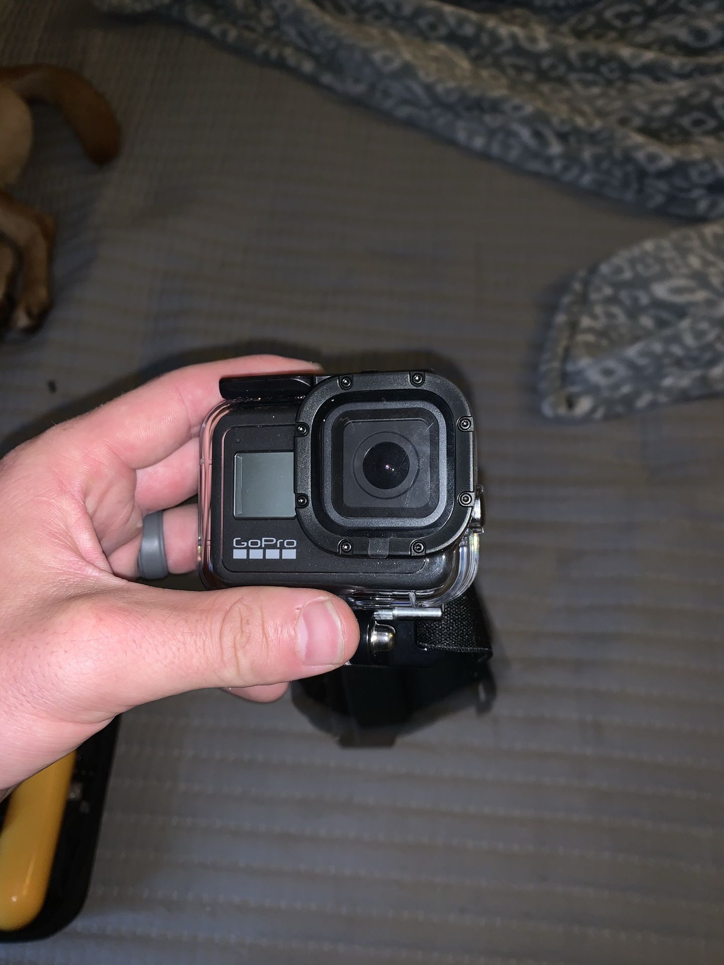 GOPRO HERO 8 with a ton of extras
