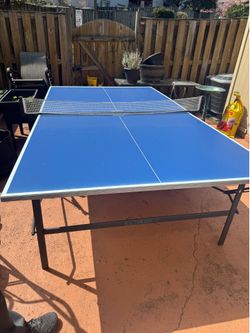 Ping Pong Table