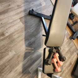 Bench Gym Equipment Exercise Workout 