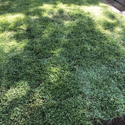 Sprinkler , Grass , Drain 