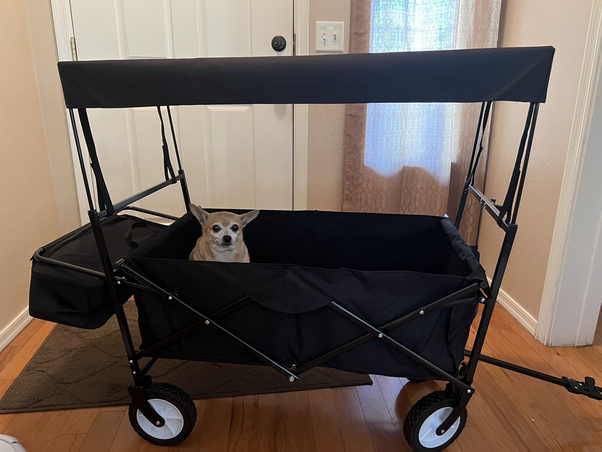 Wagon With Removable Canopy