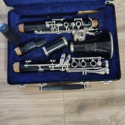Clarinet Bundy Mint.