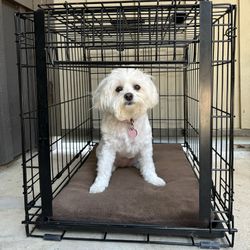 Black Wire Dog Crate 