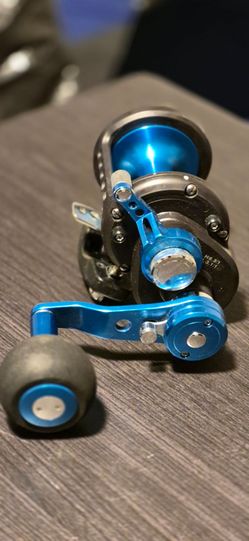 Daiwa Saltist 2-Speed STTLD30