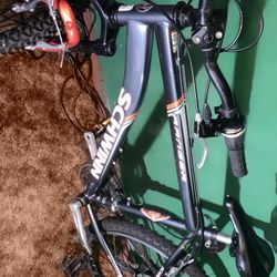 Schwinn Bike