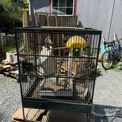 Bird Cage 