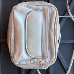 Silver Mini Purse