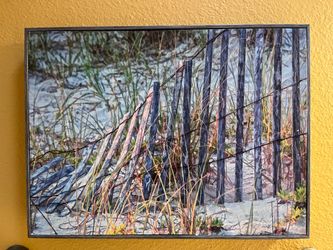 Framed Beach Dune Landscape Wall Art