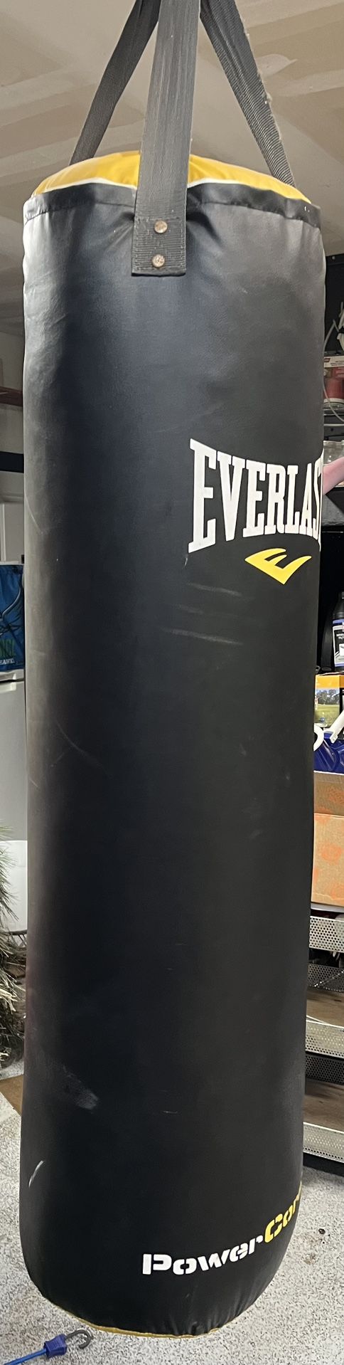 Everlast Punching Bag