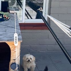 Large wooden dog house / Casita de madera grande para perro