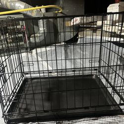 Dog Crate 