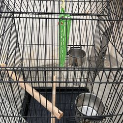 Bird Cage 