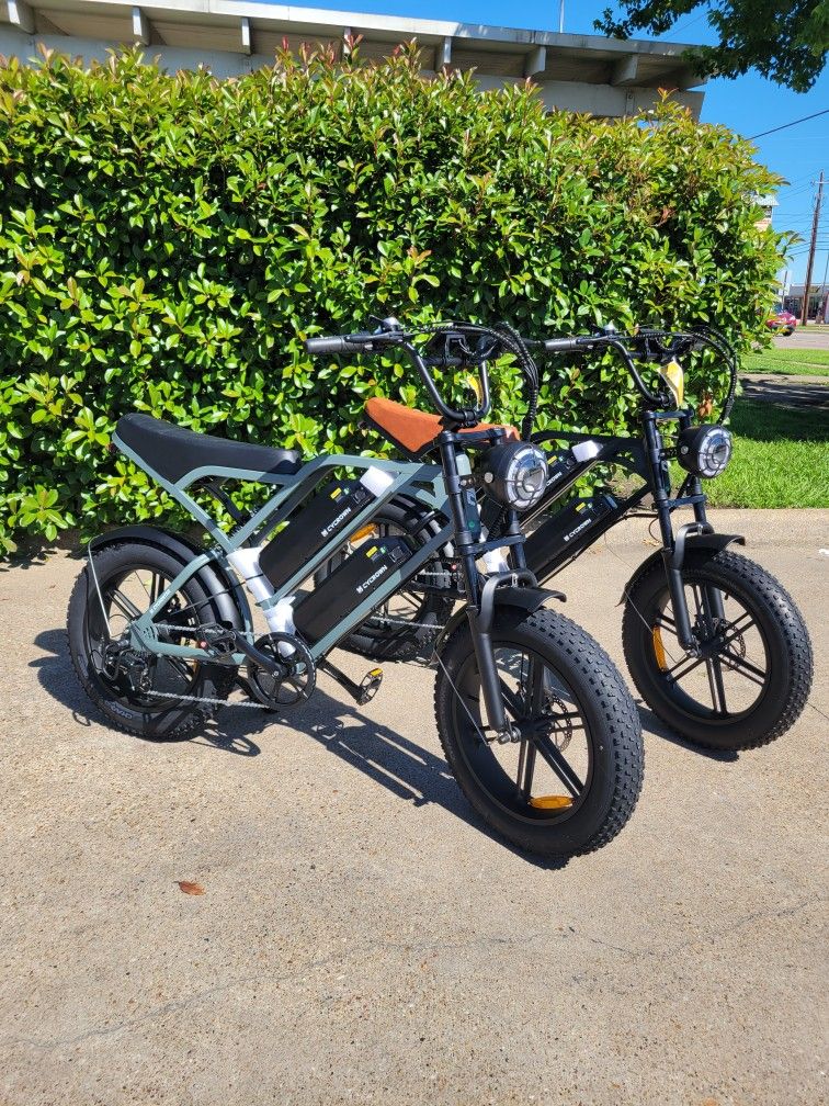 Electric Bike /e Bike 28mph 1000w Motor Duel Battery
