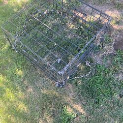 Crab Cage