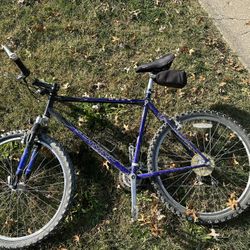 Schwinn Mountain Bike
