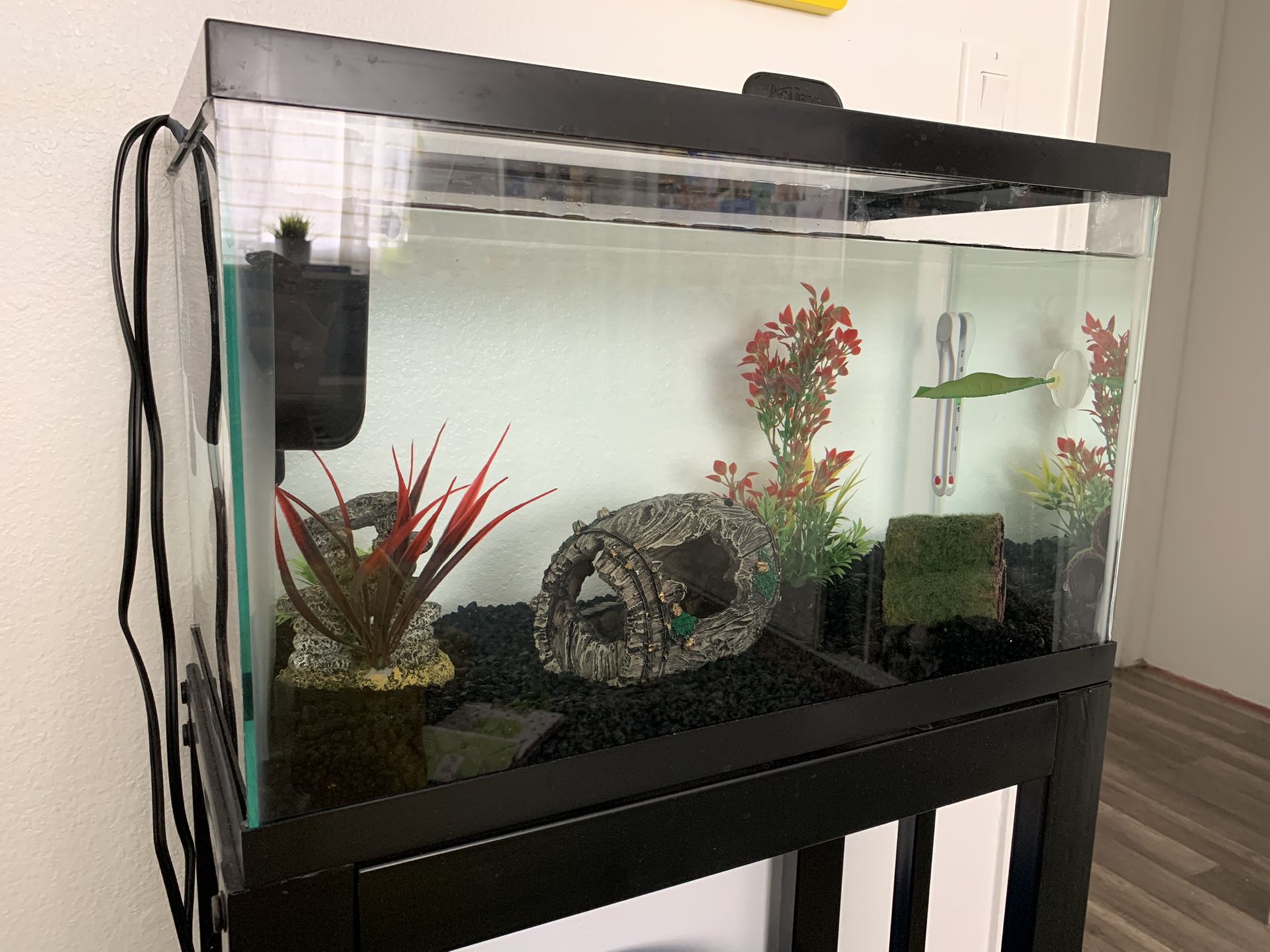 FISH TANK AND ALL ACCESSORIES