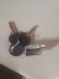 Public storage new Lock Cylinder with Keys