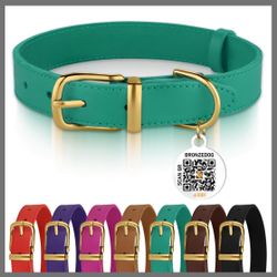 Dog Collar 