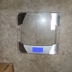 Digital Glass Bathroom Scale with Stainless Accents