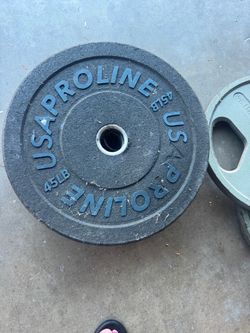 2 - 45 lb rubber plates