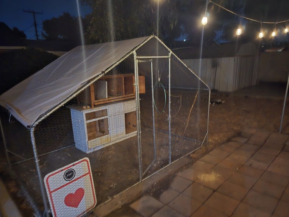 Koop Coop Hutch Catio Kennel Aviary Cage