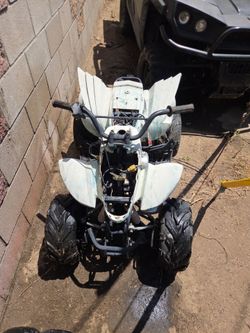 Chinnese quad