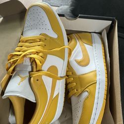 Nike Dunk Polllen 