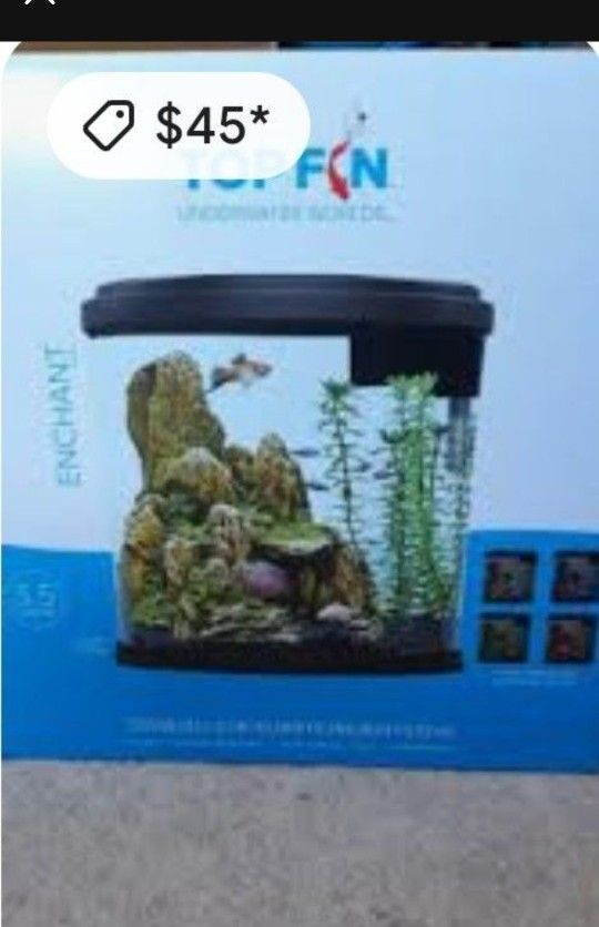 Cool Led Changing Light Fish Tank