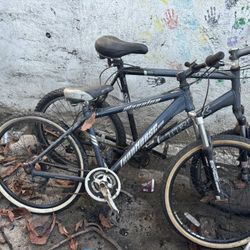 Bicicletas 