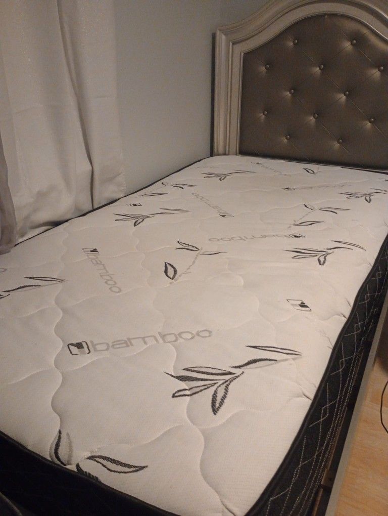 Free Beds