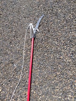 12 foot pole saw