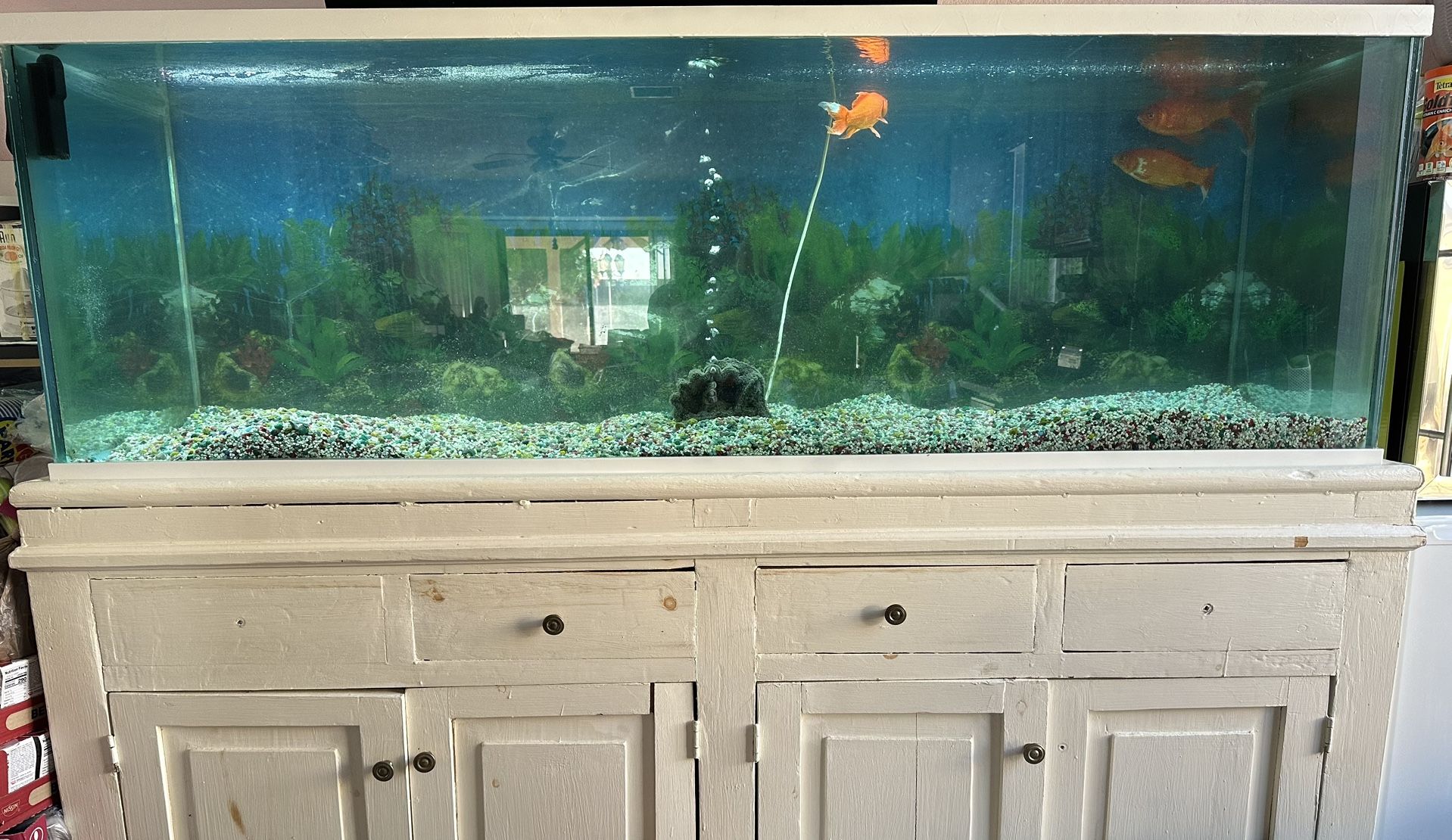 Fishtank & Stand 250 Gallons (All Glass) $750