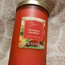 Strawberry  Dandelion 