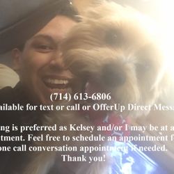 Petsitting Care And More! 