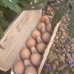Organic , Cage Free Chicken Eggs 