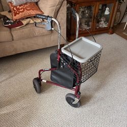 Guardian Trike Walker