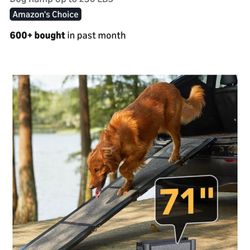 Pet Ramp