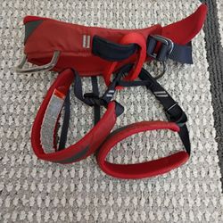 Black Diamond Youth Climbing Harness 