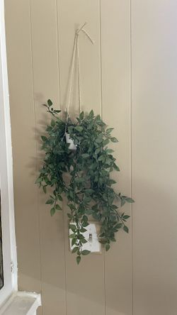 Artificial Plants For Decor 