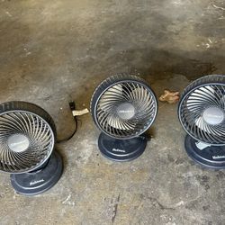 Fans