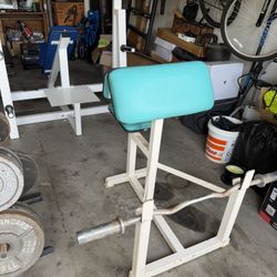 Gym Equipment Flat Bench, Curl Bench, Weights 