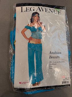 Princess Jasmine Costume