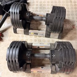 Adjustable Dumbbells 